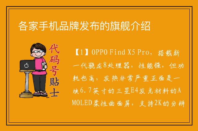 各家手机品牌发布的旗舰介绍