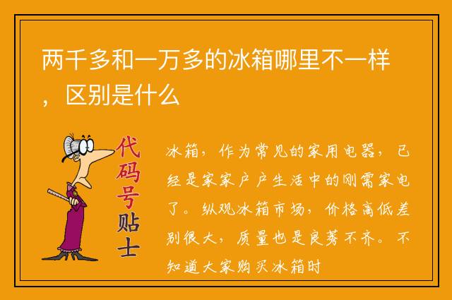 两千多和一万多的冰箱哪里不一样，区别是什么