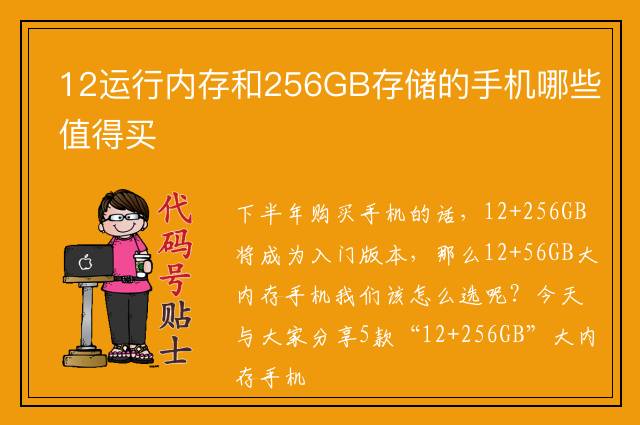 12运行内存和256GB存储的手机哪些值得买