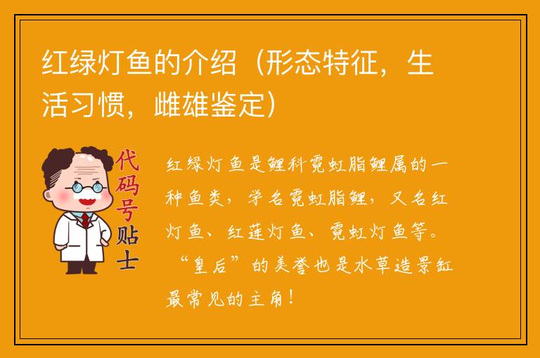 红绿灯鱼的介绍(形态特征,生活习惯,雌雄鉴定)