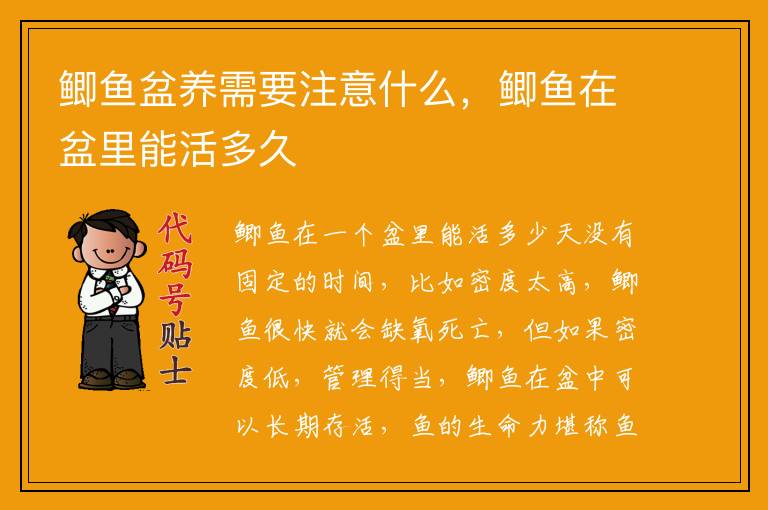 鲫鱼盆养需要注意什么,鲫鱼在盆里能活多久