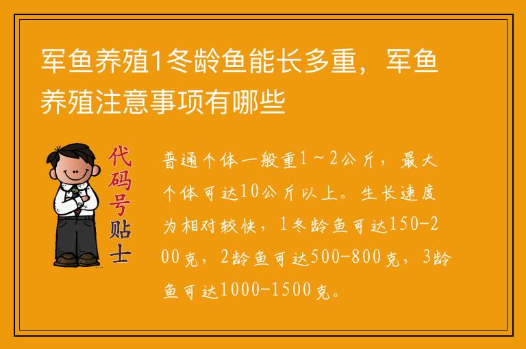 军鱼养殖1冬龄鱼能长多重，军鱼养殖注意事项有哪些