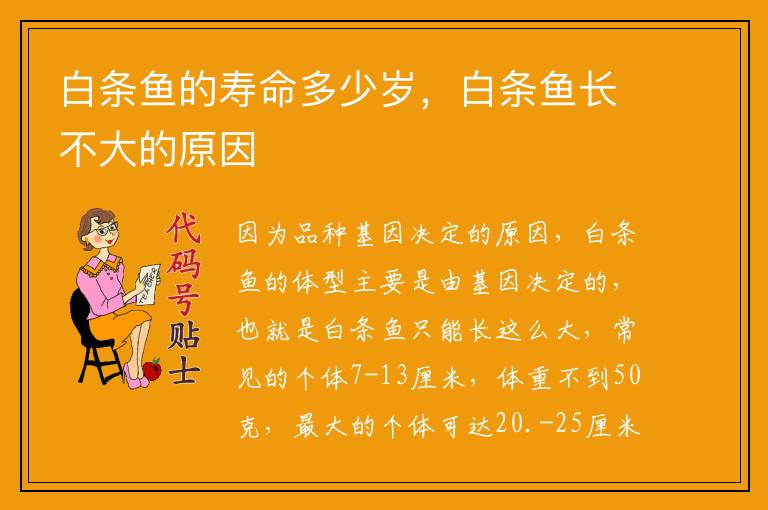 白条鱼的寿命多少岁，白条鱼长不大的原因