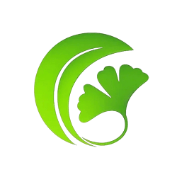 白果AI论文助手