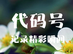 龙芯主板设计教学实战